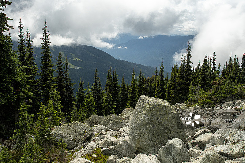 不列颠哥伦比亚惠斯勒黑梳山滑雪胜地的夏季高山风光图片素材