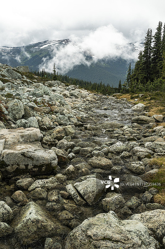 不列颠哥伦比亚惠斯勒黑梳山滑雪胜地的夏季高山风光图片素材