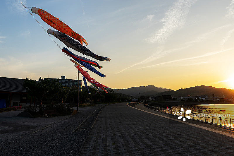 鸣门鲤鱼旗日落图片素材