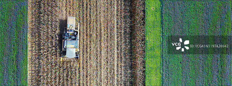 收割期间的玉米田鸟瞰图片素材