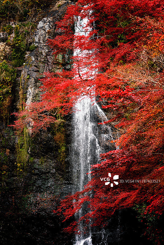 大阪箕面瀑布图片素材