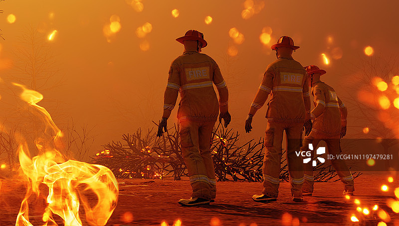 消防员在燃烧的森林中协同工作图片素材