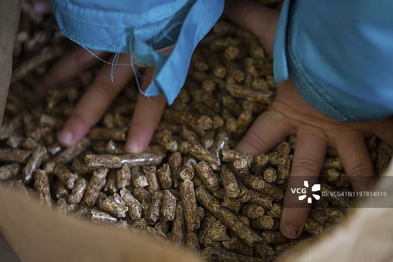 孩子的手从麻袋里抓取颗粒图片素材