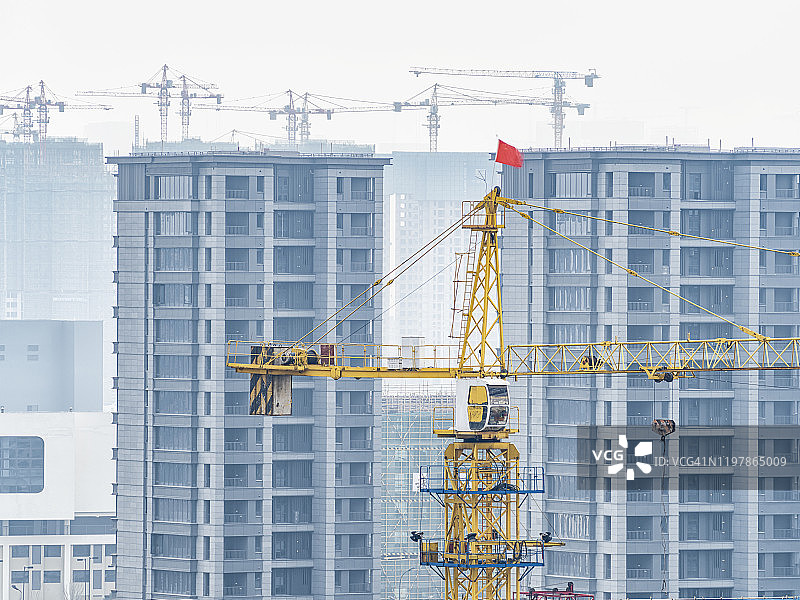 建筑工地上的鹤群图片素材