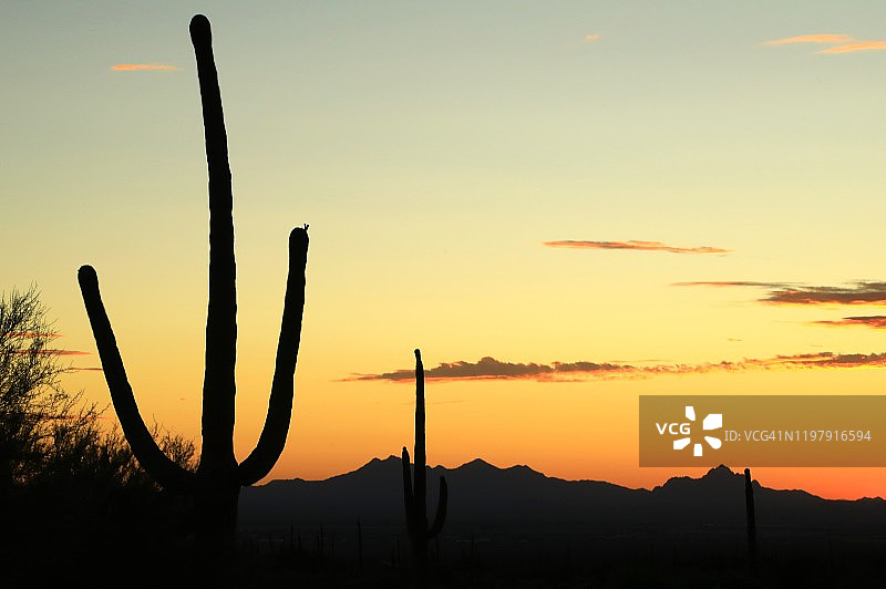 西部老城区的剪影天空图片素材