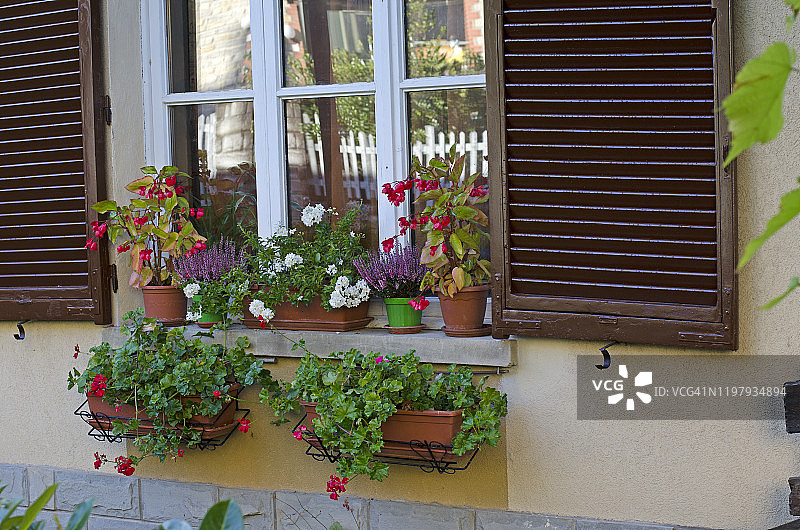 阿米莉亚窗台上的鲜花图片素材