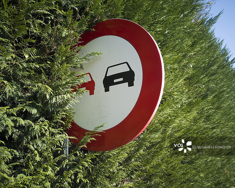 半隐于树篱中的禁止超车路标图片素材