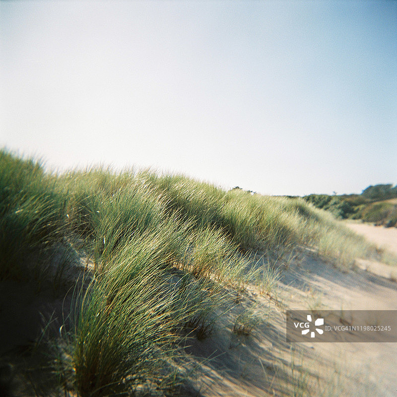 特吉尔斯海滩旁的沙丘图片素材