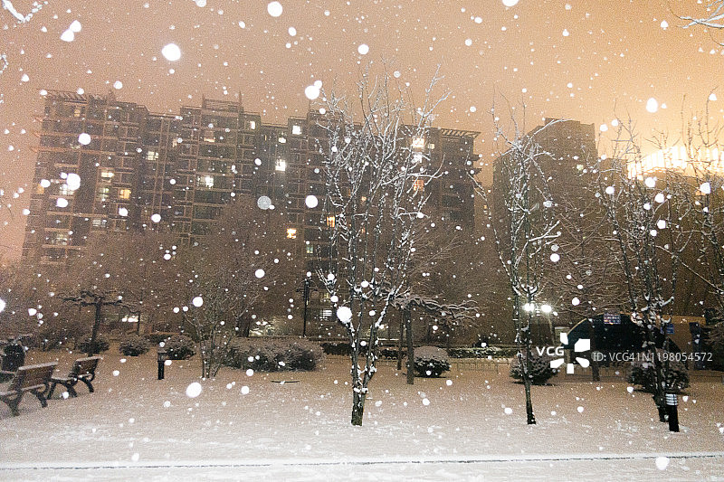 冬季雪景图片素材