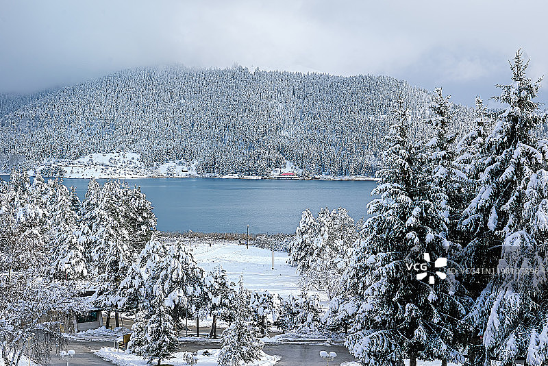 冬季雪林风光图片素材