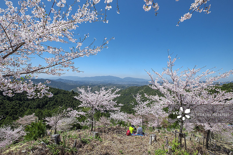 吉野山的樱花与远景图片素材