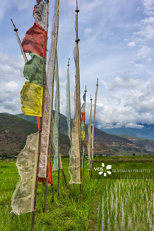 不丹普纳卡喜马拉雅山脉稻田上的祈祷旗图片素材