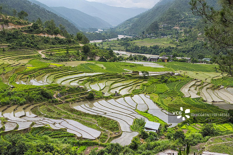 不丹普纳卡喜马拉雅山上的村庄房屋和稻田图片素材