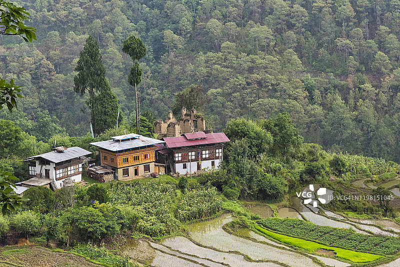 不丹普纳卡喜马拉雅山脉的稻田村屋图片素材