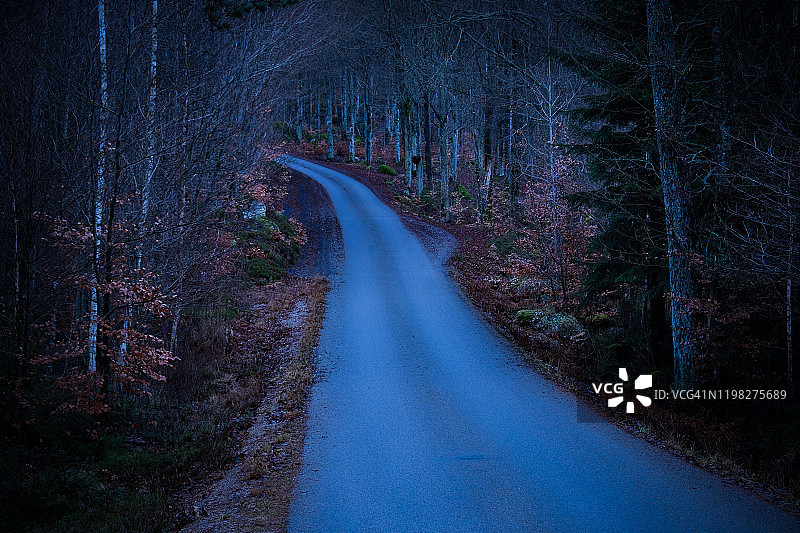 冬季傍晚：穿过黑暗山毛榉森林的狭窄车道图片素材