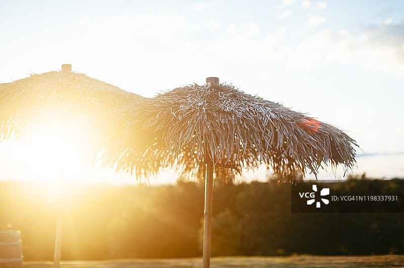 阳光下的户外雨伞图片素材