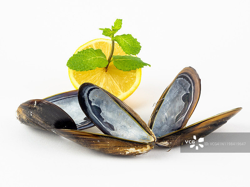 贻贝壳、半个柠檬和薄荷枝，白色背景图片素材