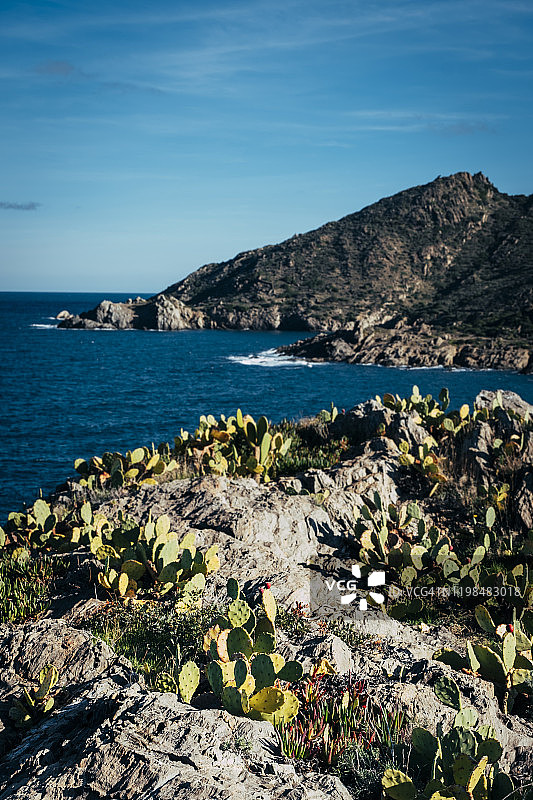 卡米德罗纳图片素材