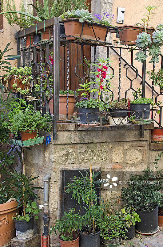 前门植物图片素材