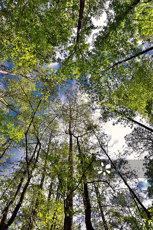 在野外大自然中找到充电的理由图片素材