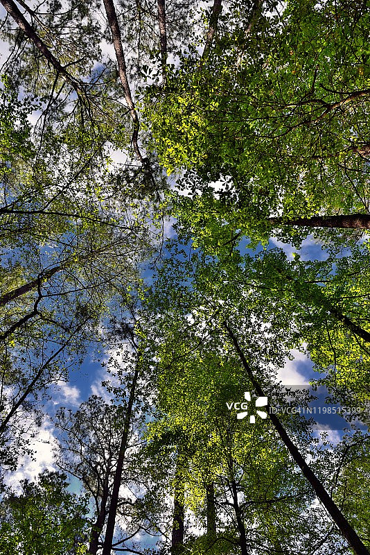 生命中最美好的时光在户外度过图片素材