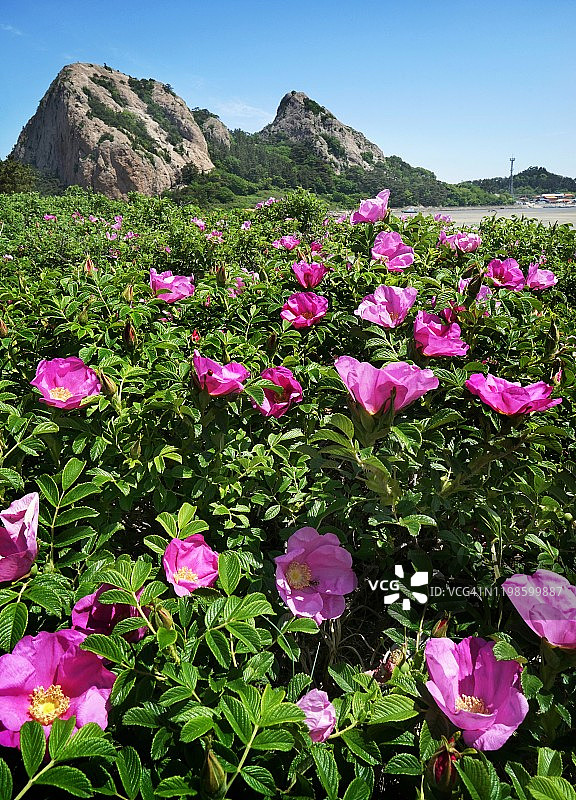 韩国群山仙游岛风光图片素材