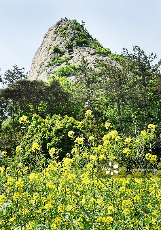 韩国群山仙游岛风光图片素材