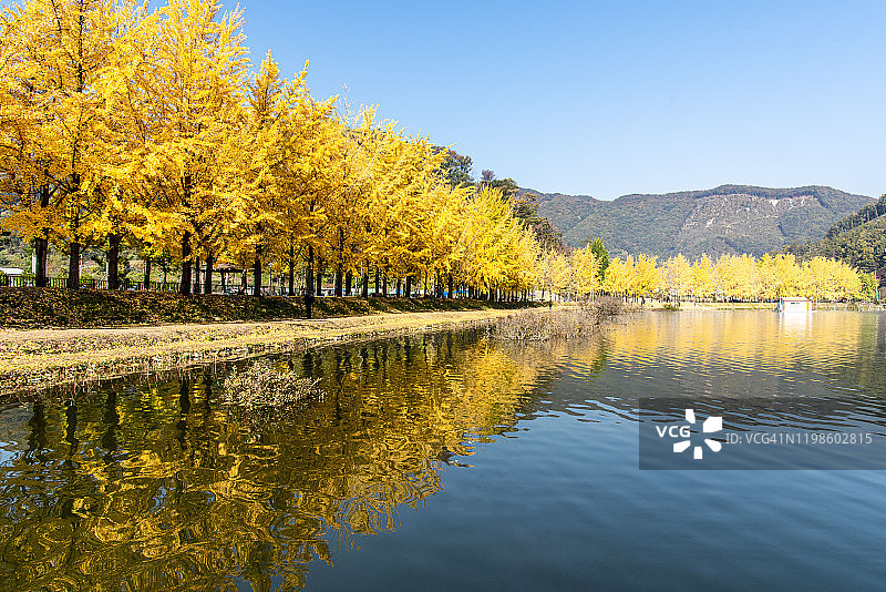 韩国槐山郡朦胧雾日中的 mungwang 湖风光图片素材