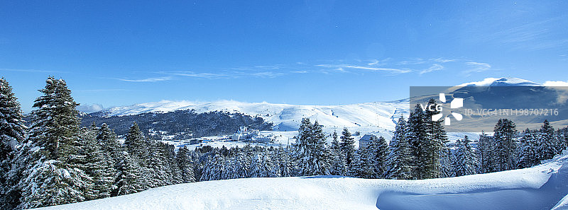 雪冬森林和山地景观图片素材
