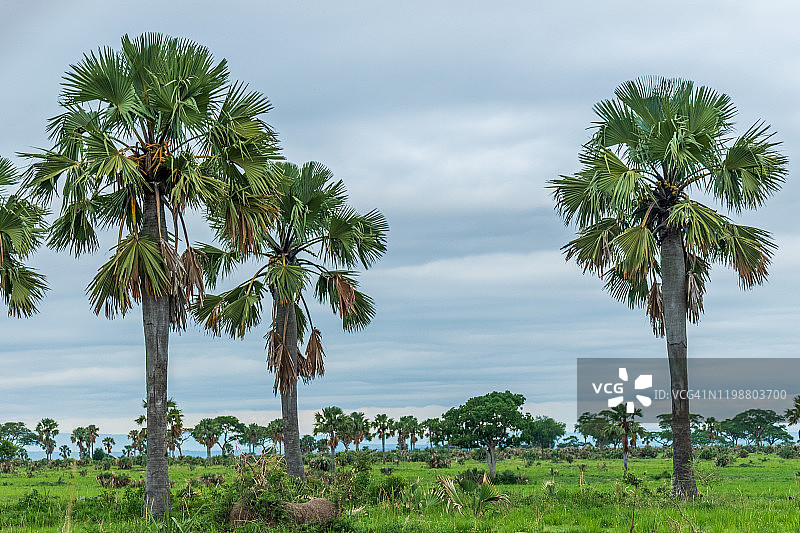 默奇森瀑布国家公园图片素材