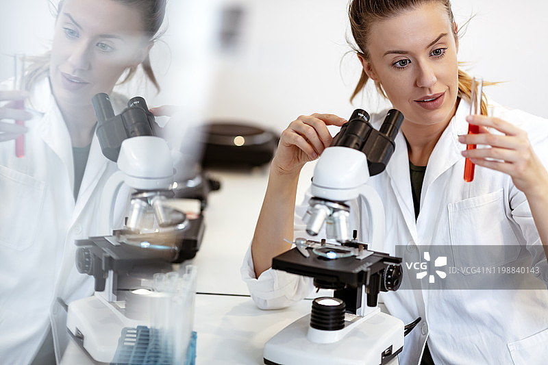 在实验室工作的女科学家图片素材