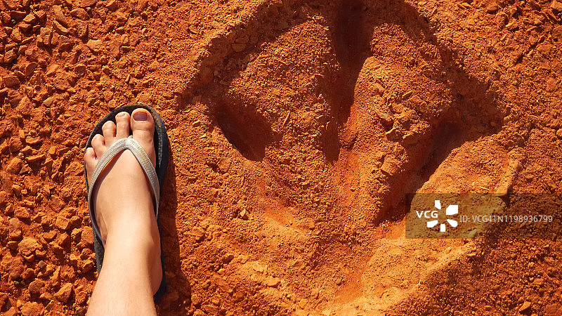澳大利亚布鲁姆金伯利地区的人脚与恐龙足迹对比图片素材