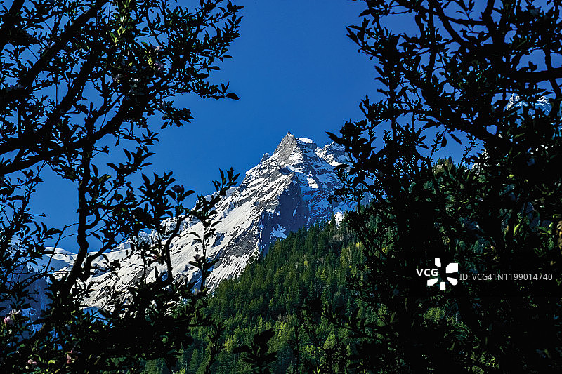 印度北阿坎德邦甘戈特里图片素材