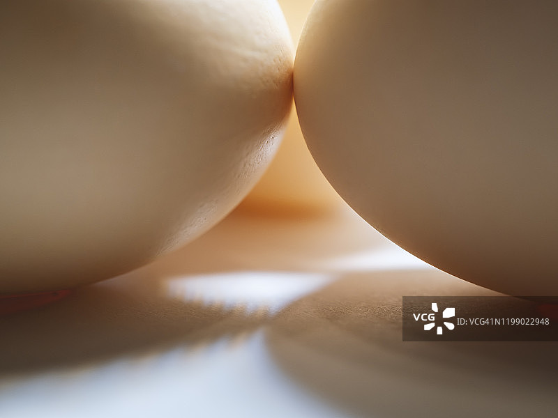 微距镜头下的鸡蛋特写照片图片素材