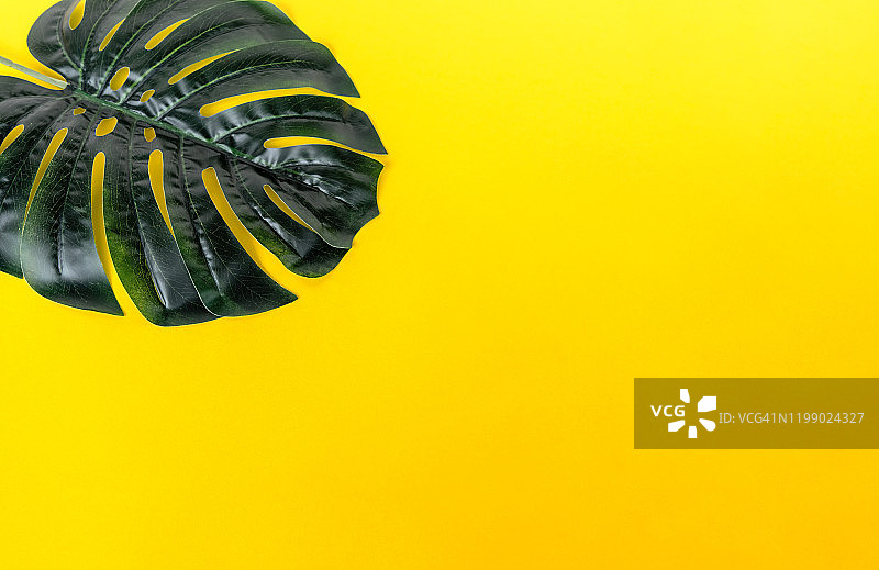 带蓬莱蕉叶的黄色背景图片素材