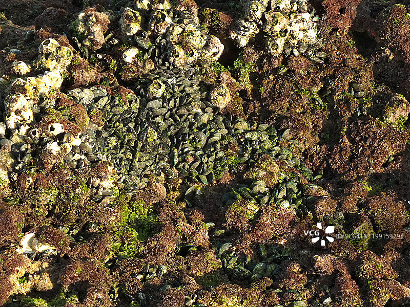 卡拉奇霍克斯湾海滩阿拉伯海的岩层图片素材