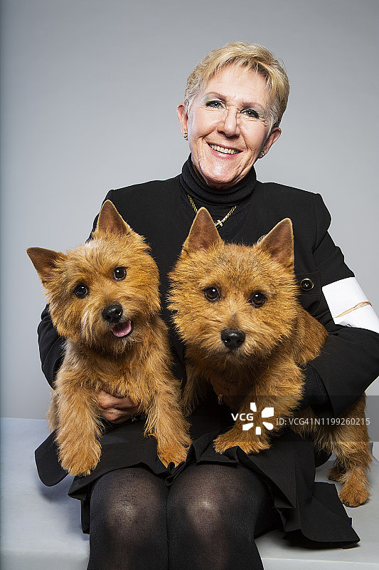 训犬师牵着两只诺福克梗犬图片素材