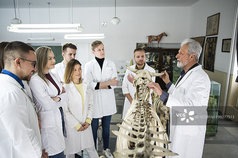 学生们与教授讨论问题图片素材