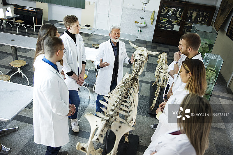 学生们与教授讨论问题图片素材