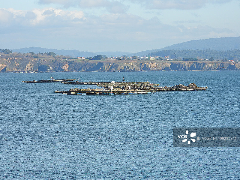 海中牡蛎和贻贝养殖场图片素材
