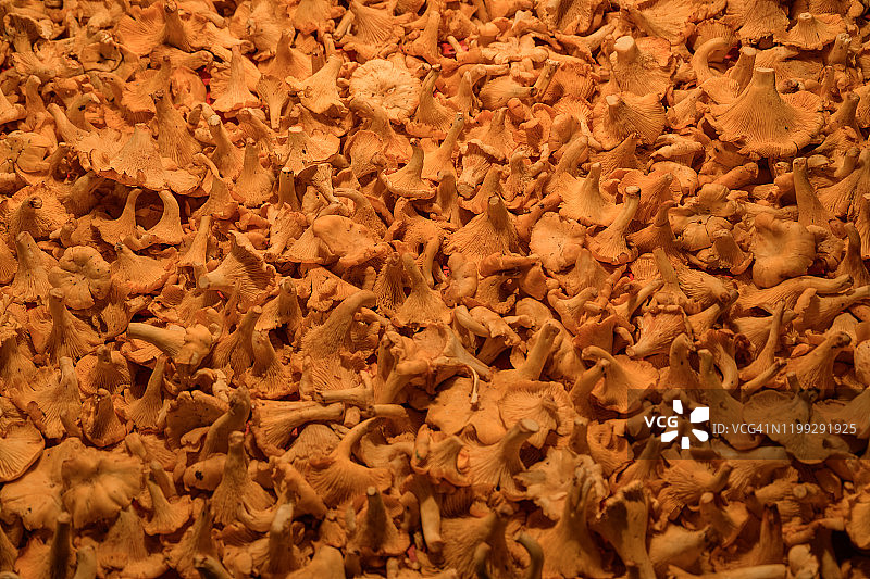 斯德哥尔摩市场瑞典鸡油菌图片素材