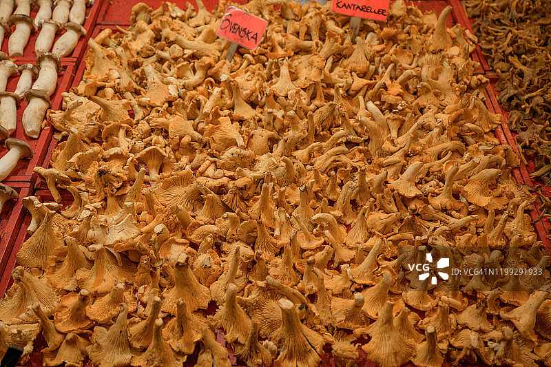 斯德哥尔摩市场瑞典鸡油菌图片素材