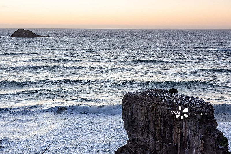 新西兰奥克兰的穆里怀海滩图片素材