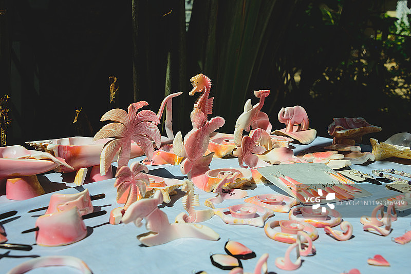 伯利兹贝壳纪念品图片素材