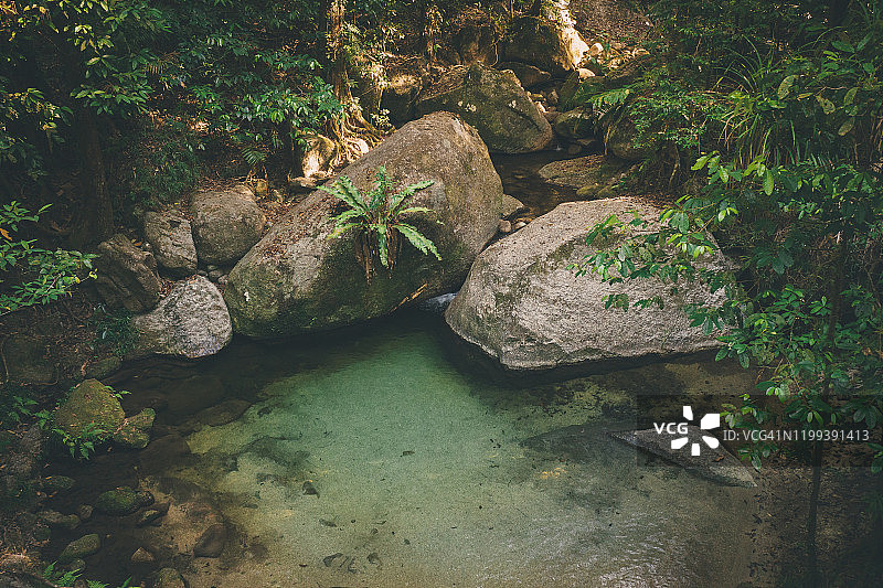 莫斯曼峡谷雨林河流图片素材