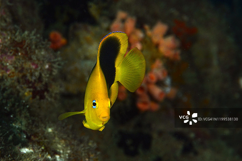 岩石之美图片素材