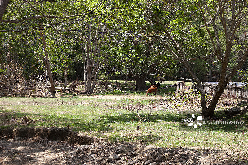 公路旅行车窗风景图片素材