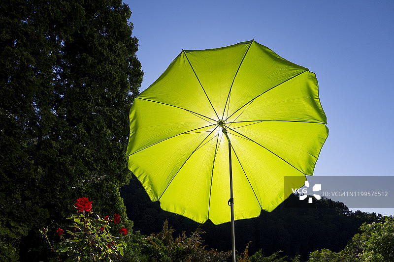 绿色遮阳伞和蓝色天空图片素材