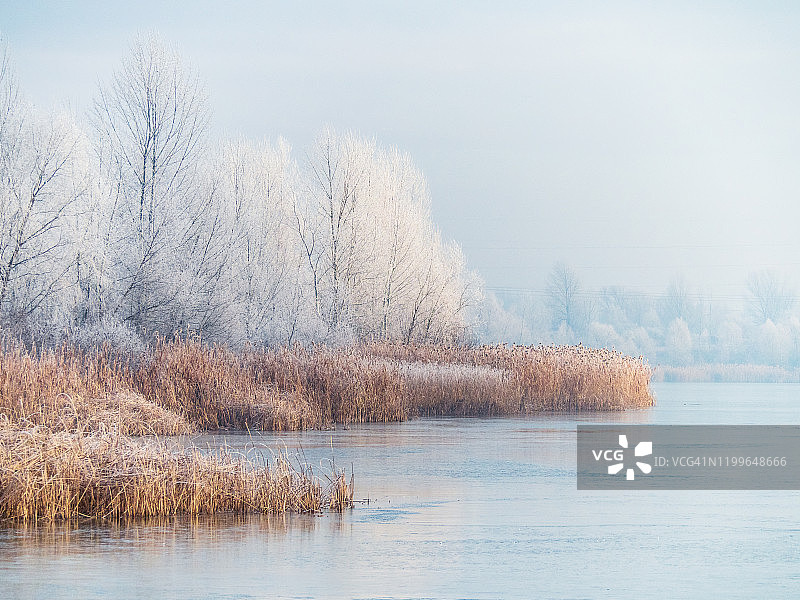 冬天池塘结冰，树上结霜图片素材