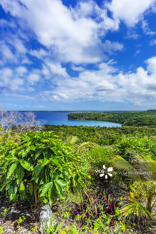 新喀里多尼亚利富岛南太平洋风光图片素材